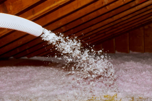 Professional Insulation Contractor in Byron, IL