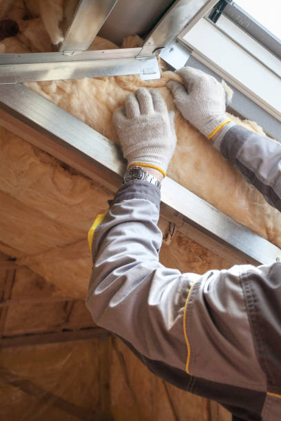 Best Affordable Insulation Services  in Byron, IL