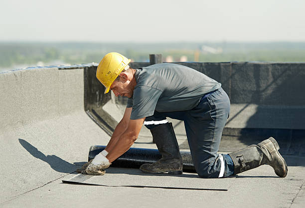 Best Best Insulation Companies  in Byron, IL