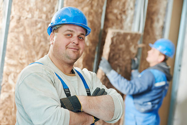 Best Cellulose Insulation  in Byron, IL